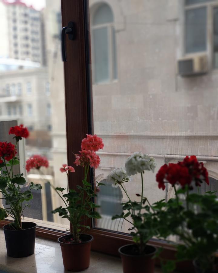 Central Baku Hotel Dış mekan fotoğraf